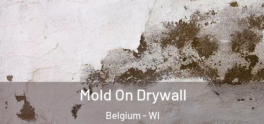  Mold On Drywall Belgium - WI