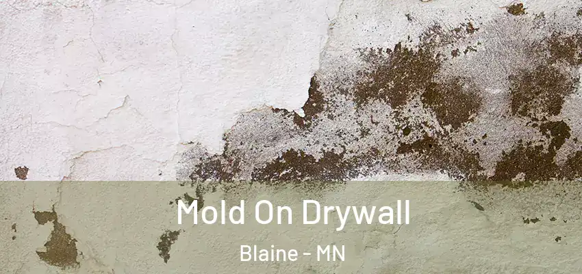 Mold On Drywall Blaine - MN