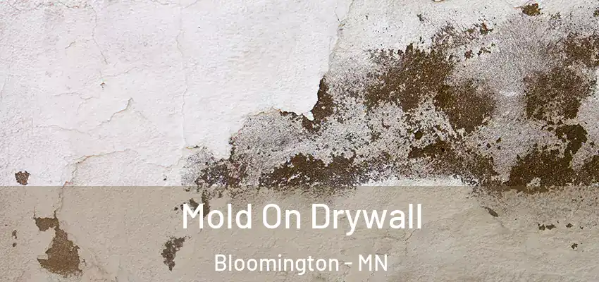  Mold On Drywall Bloomington - MN