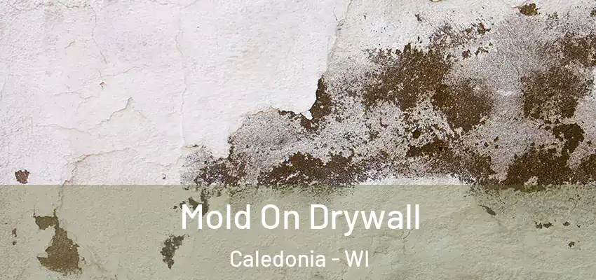  Mold On Drywall Caledonia - WI