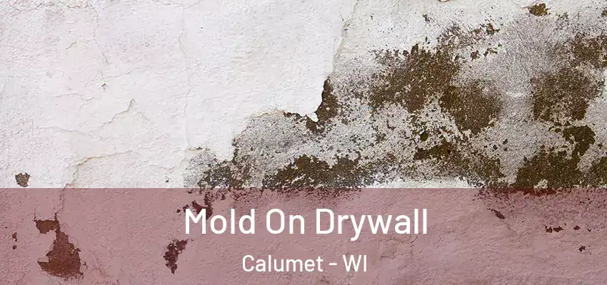 Mold On Drywall Calumet - WI