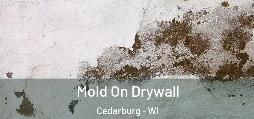  Mold On Drywall Cedarburg - WI