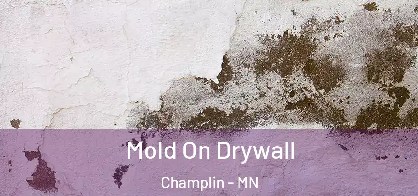  Mold On Drywall Champlin - MN