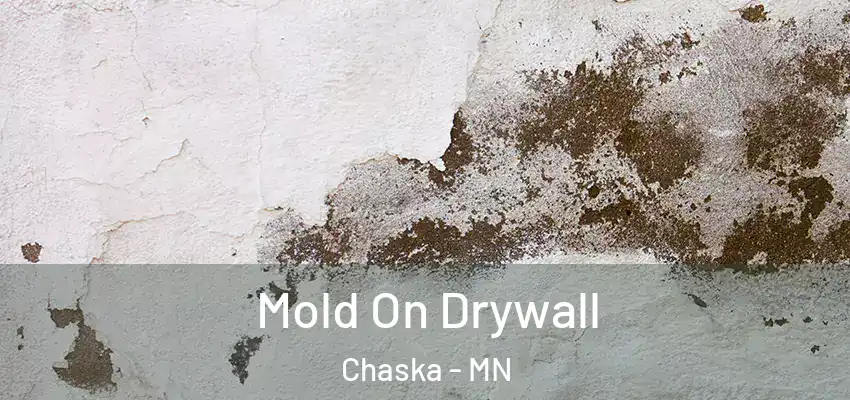  Mold On Drywall Chaska - MN