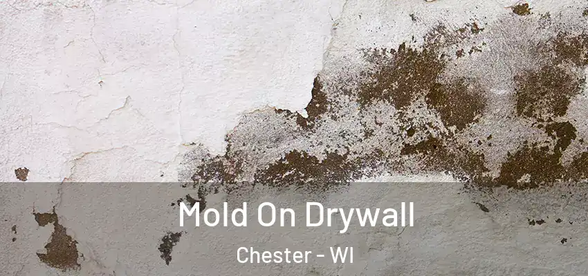 Mold On Drywall Chester - WI
