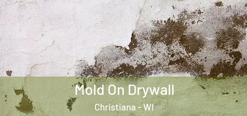  Mold On Drywall Christiana - WI