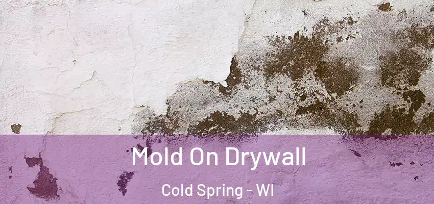 Mold On Drywall Cold Spring - WI