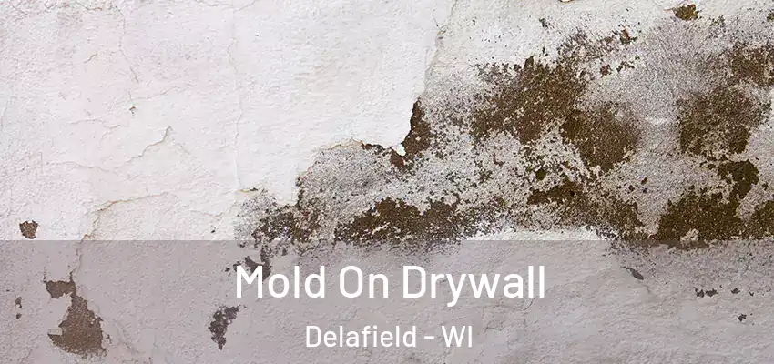 Mold On Drywall Delafield - WI