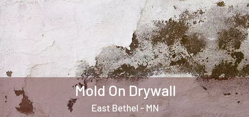  Mold On Drywall East Bethel - MN