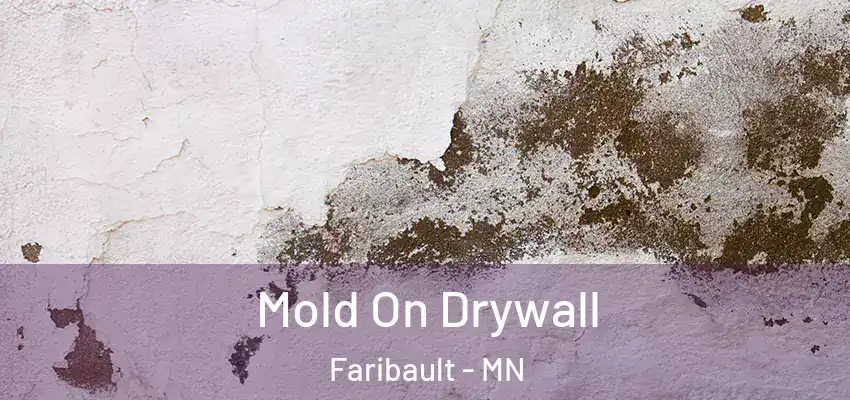 Mold On Drywall Faribault - MN