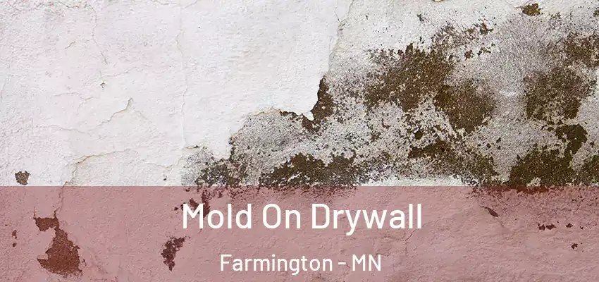  Mold On Drywall Farmington - MN
