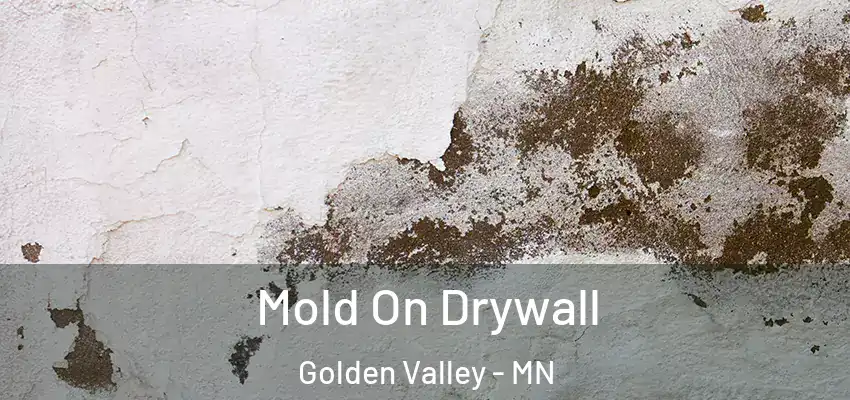  Mold On Drywall Golden Valley - MN