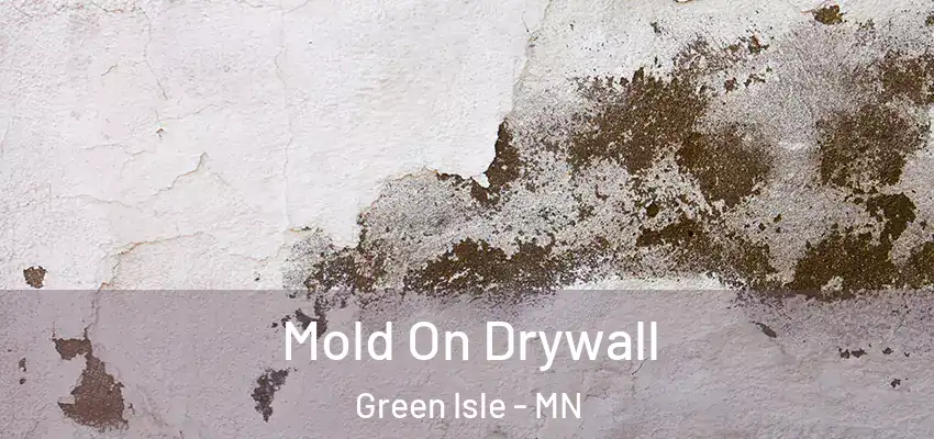  Mold On Drywall Green Isle - MN