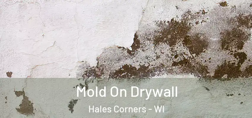 Mold On Drywall Hales Corners - WI