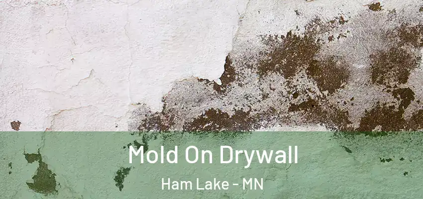  Mold On Drywall Ham Lake - MN