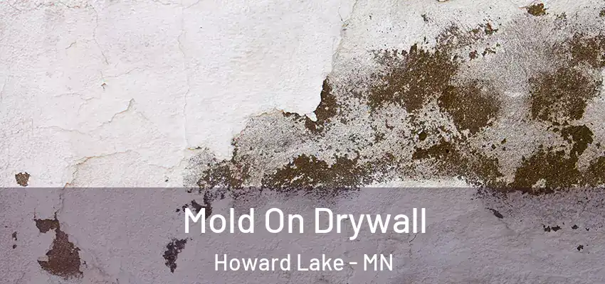  Mold On Drywall Howard Lake - MN