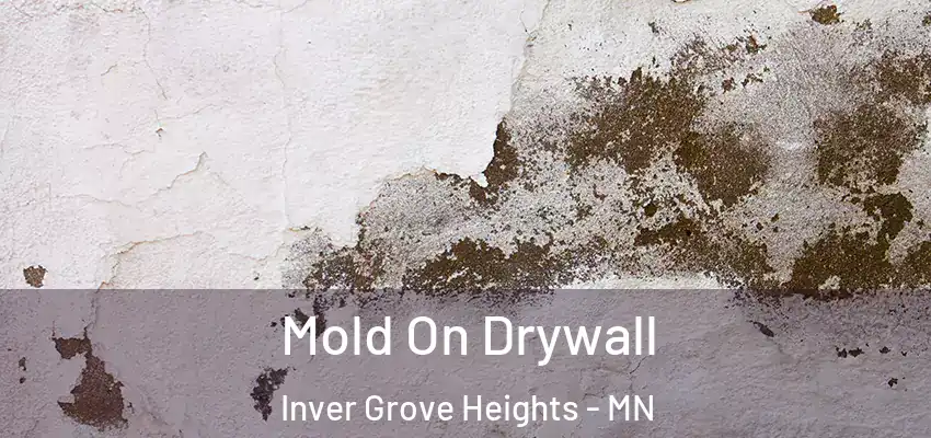  Mold On Drywall Inver Grove Heights - MN