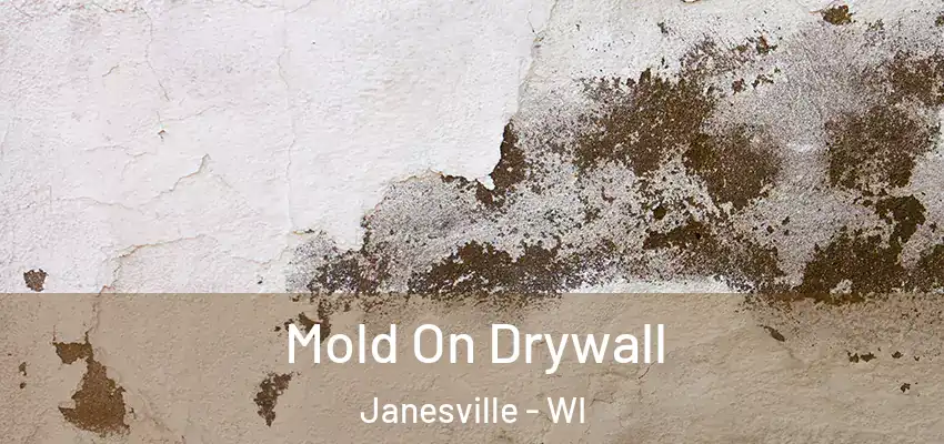  Mold On Drywall Janesville - WI