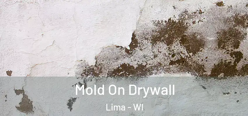 Mold On Drywall Lima - WI