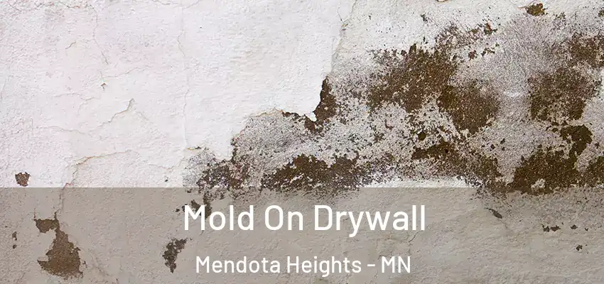  Mold On Drywall Mendota Heights - MN