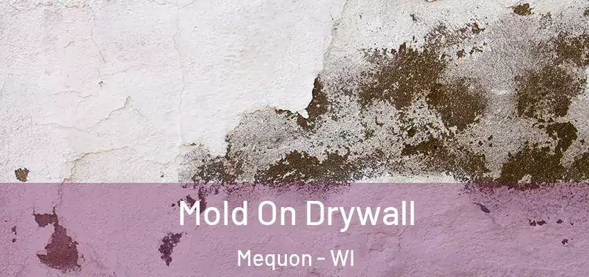  Mold On Drywall Mequon - WI