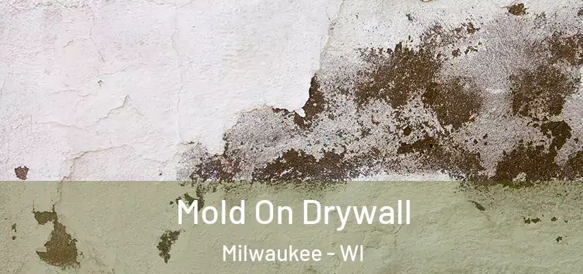  Mold On Drywall Milwaukee - WI