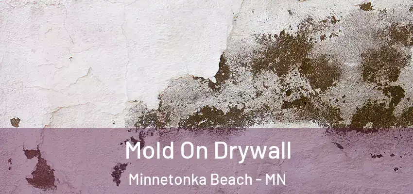  Mold On Drywall Minnetonka Beach - MN