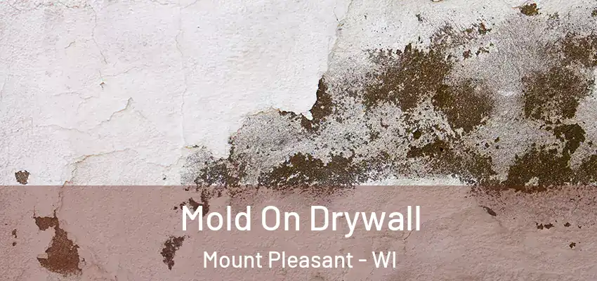  Mold On Drywall Mount Pleasant - WI