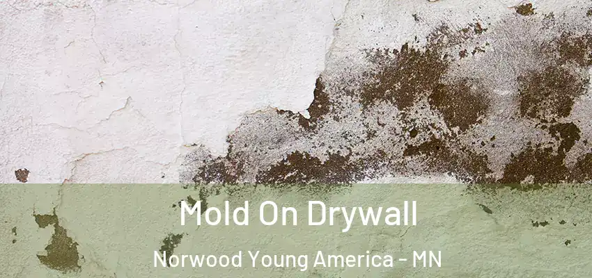  Mold On Drywall Norwood Young America - MN