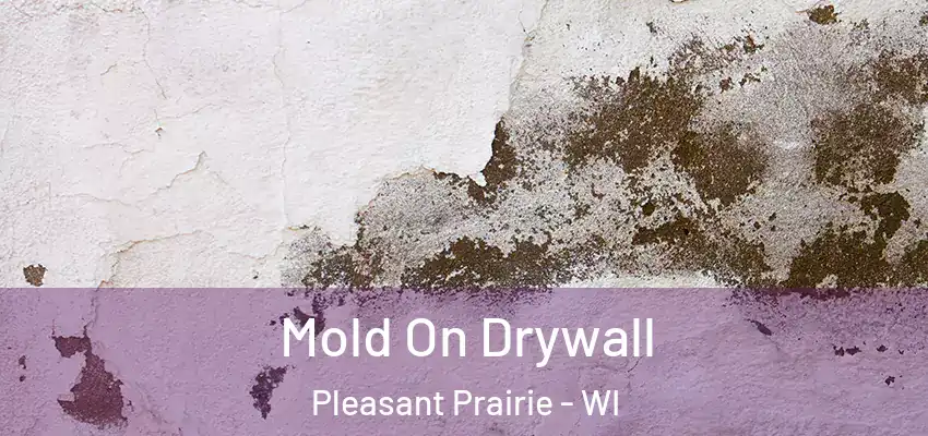  Mold On Drywall Pleasant Prairie - WI
