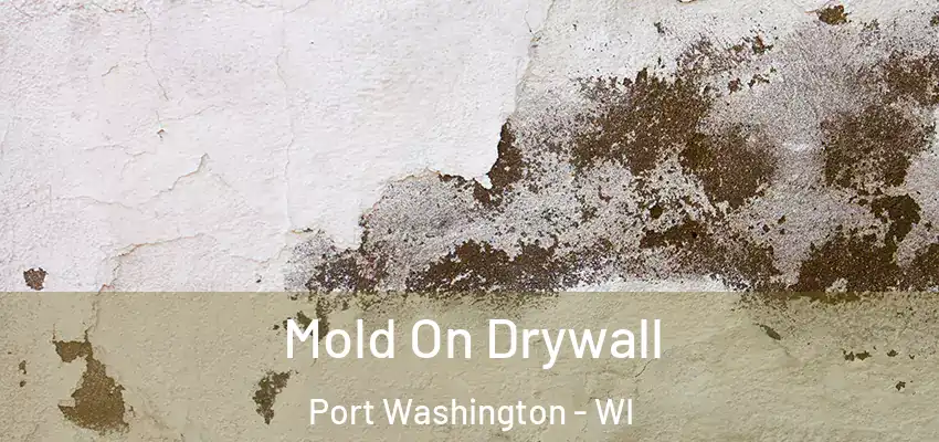  Mold On Drywall Port Washington - WI