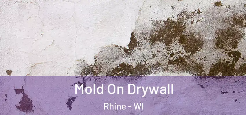  Mold On Drywall Rhine - WI