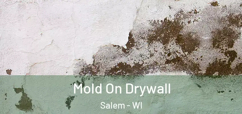  Mold On Drywall Salem - WI