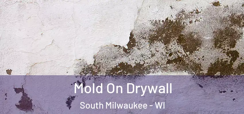  Mold On Drywall South Milwaukee - WI