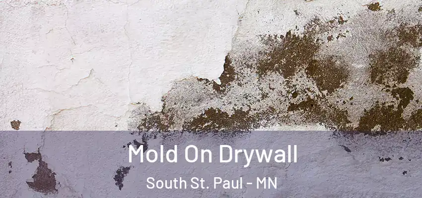  Mold On Drywall South St. Paul - MN
