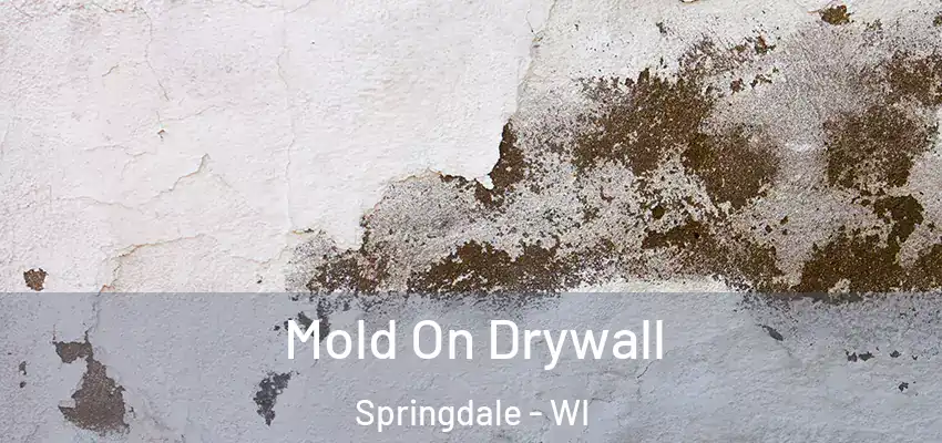  Mold On Drywall Springdale - WI