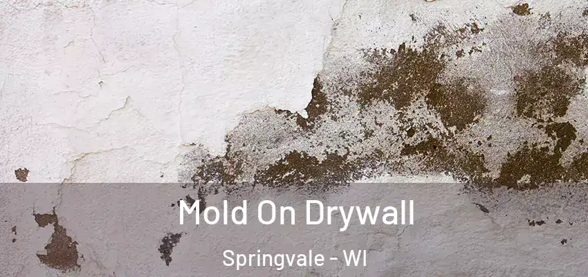  Mold On Drywall Springvale - WI