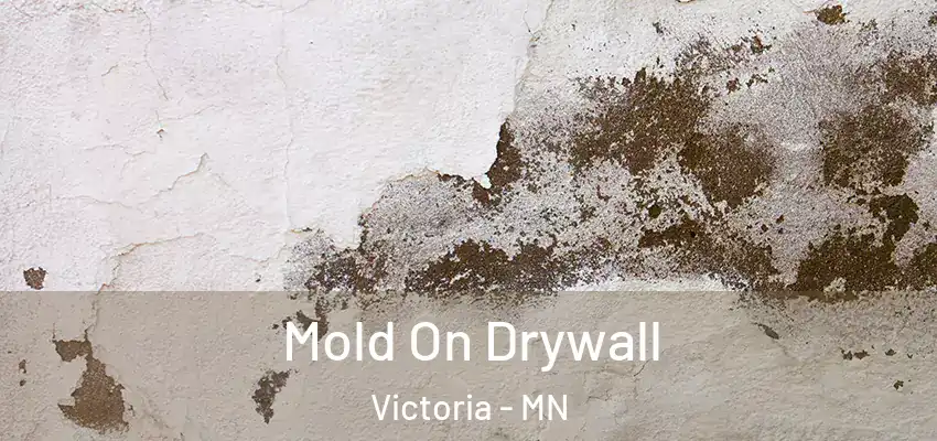  Mold On Drywall Victoria - MN