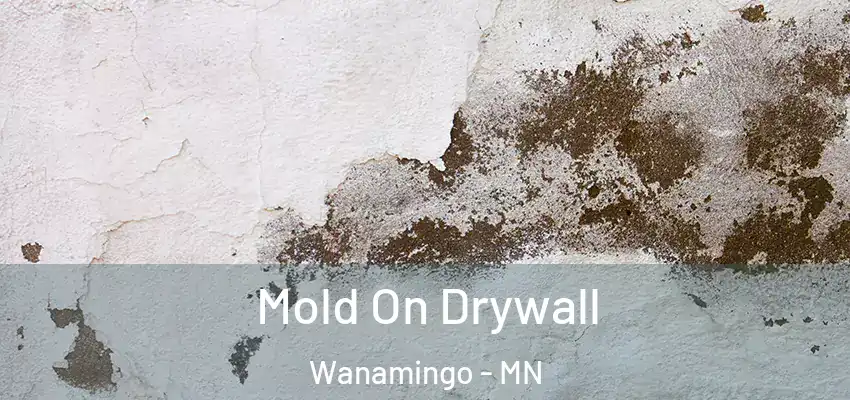  Mold On Drywall Wanamingo - MN