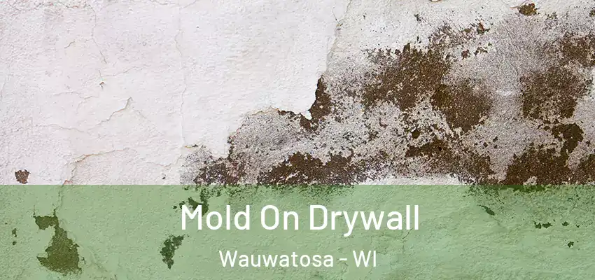  Mold On Drywall Wauwatosa - WI