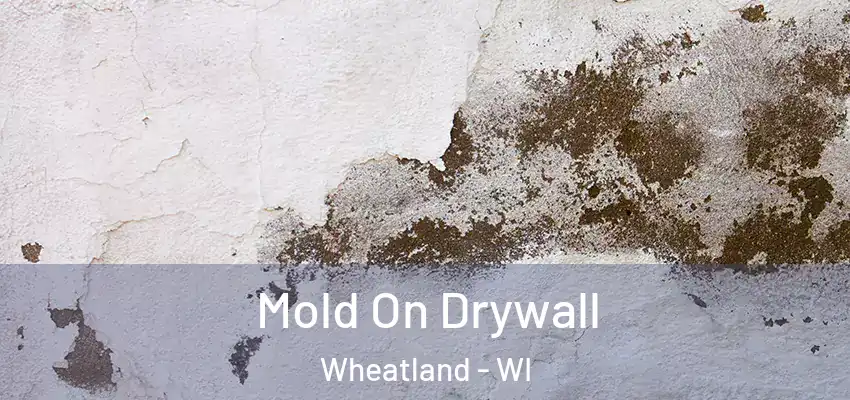  Mold On Drywall Wheatland - WI