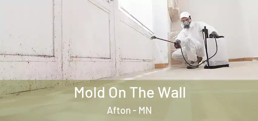  Mold On The Wall Afton - MN