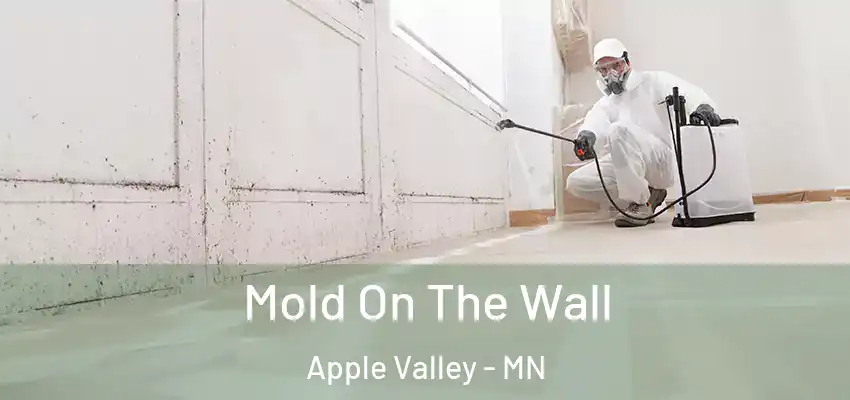  Mold On The Wall Apple Valley - MN