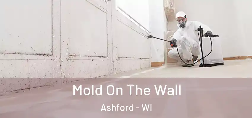  Mold On The Wall Ashford - WI