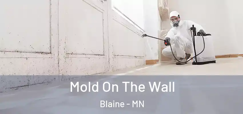  Mold On The Wall Blaine - MN