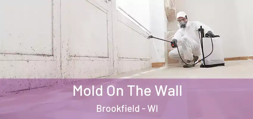  Mold On The Wall Brookfield - WI