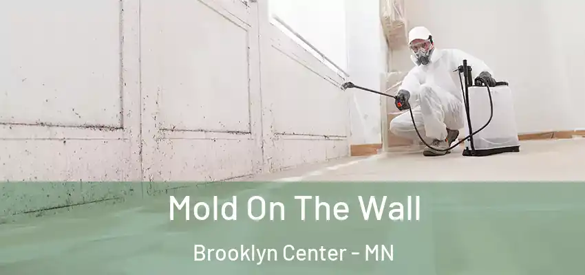  Mold On The Wall Brooklyn Center - MN