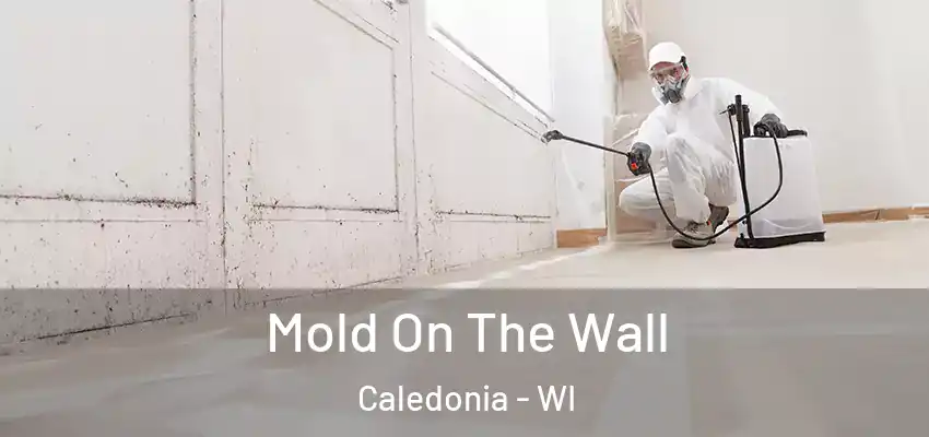 Mold On The Wall Caledonia - WI