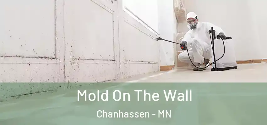  Mold On The Wall Chanhassen - MN