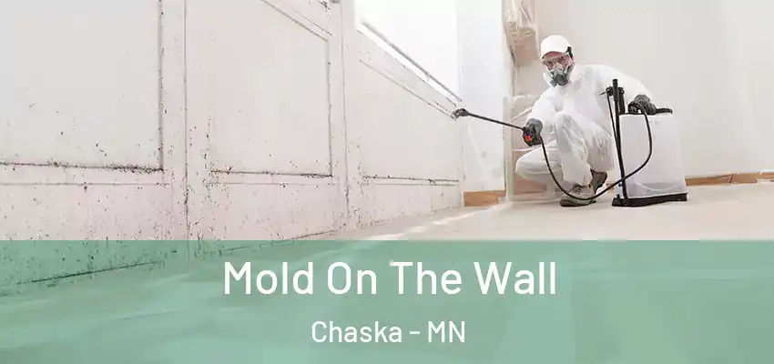  Mold On The Wall Chaska - MN